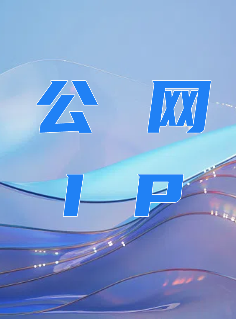 公网固态IP地址